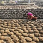 भारत से गोबर