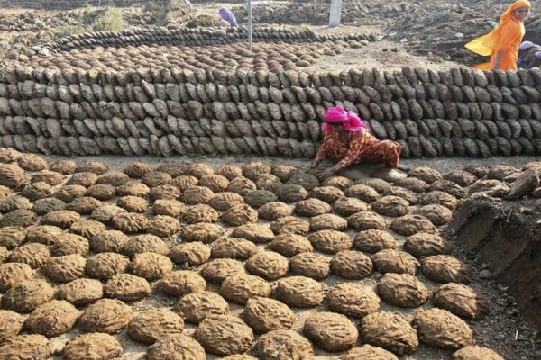 भारत से गोबर